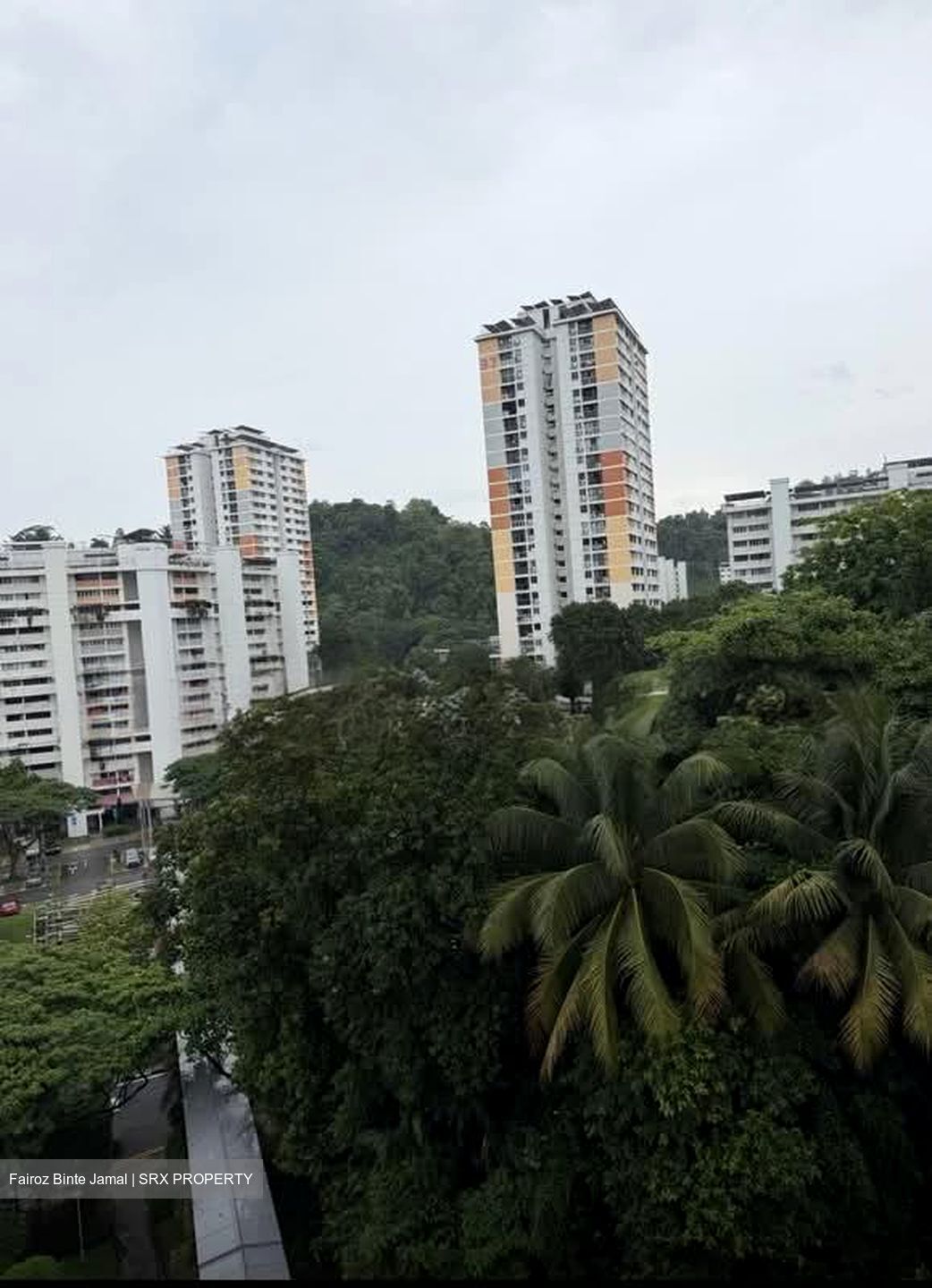 Blk 107 Bukit Purmei Road (Bukit Merah), HDB 3 Rooms #574641821